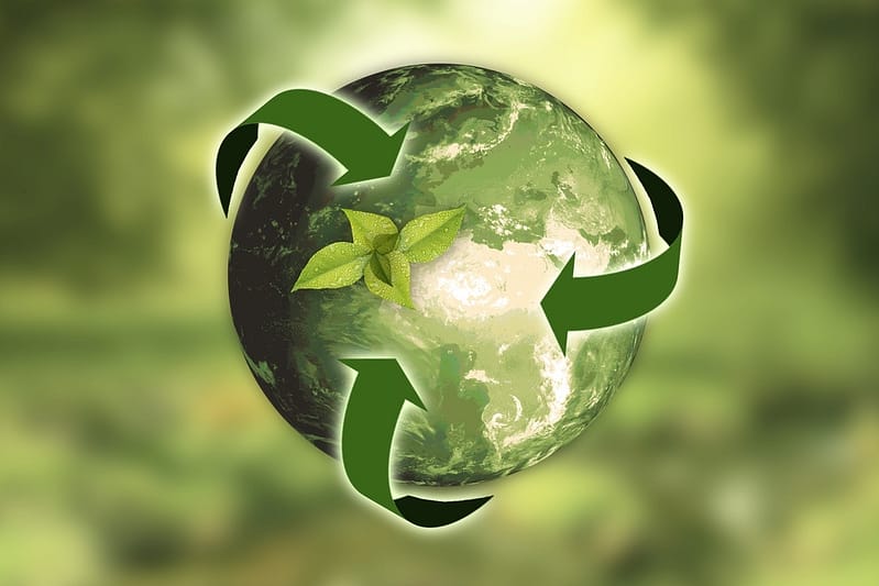 Artikler på GrønPlanet